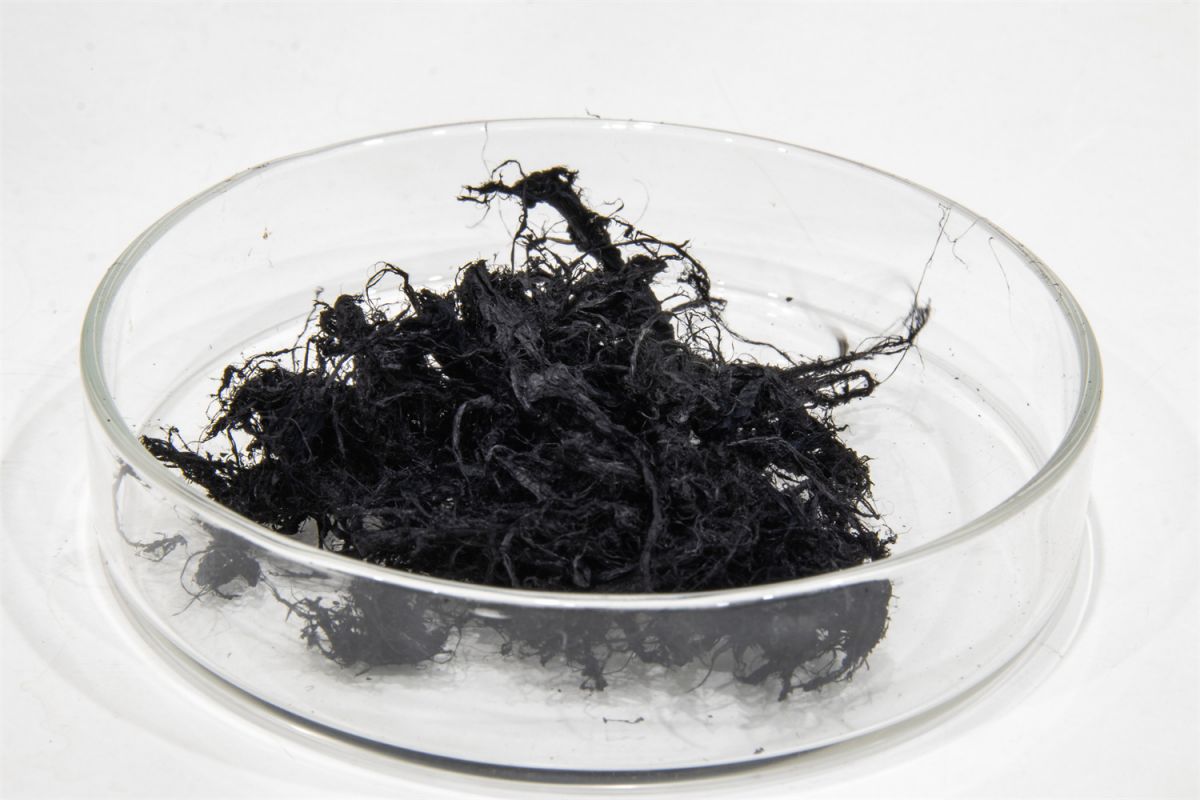 首页| 海洋之神hy590最新官方网站