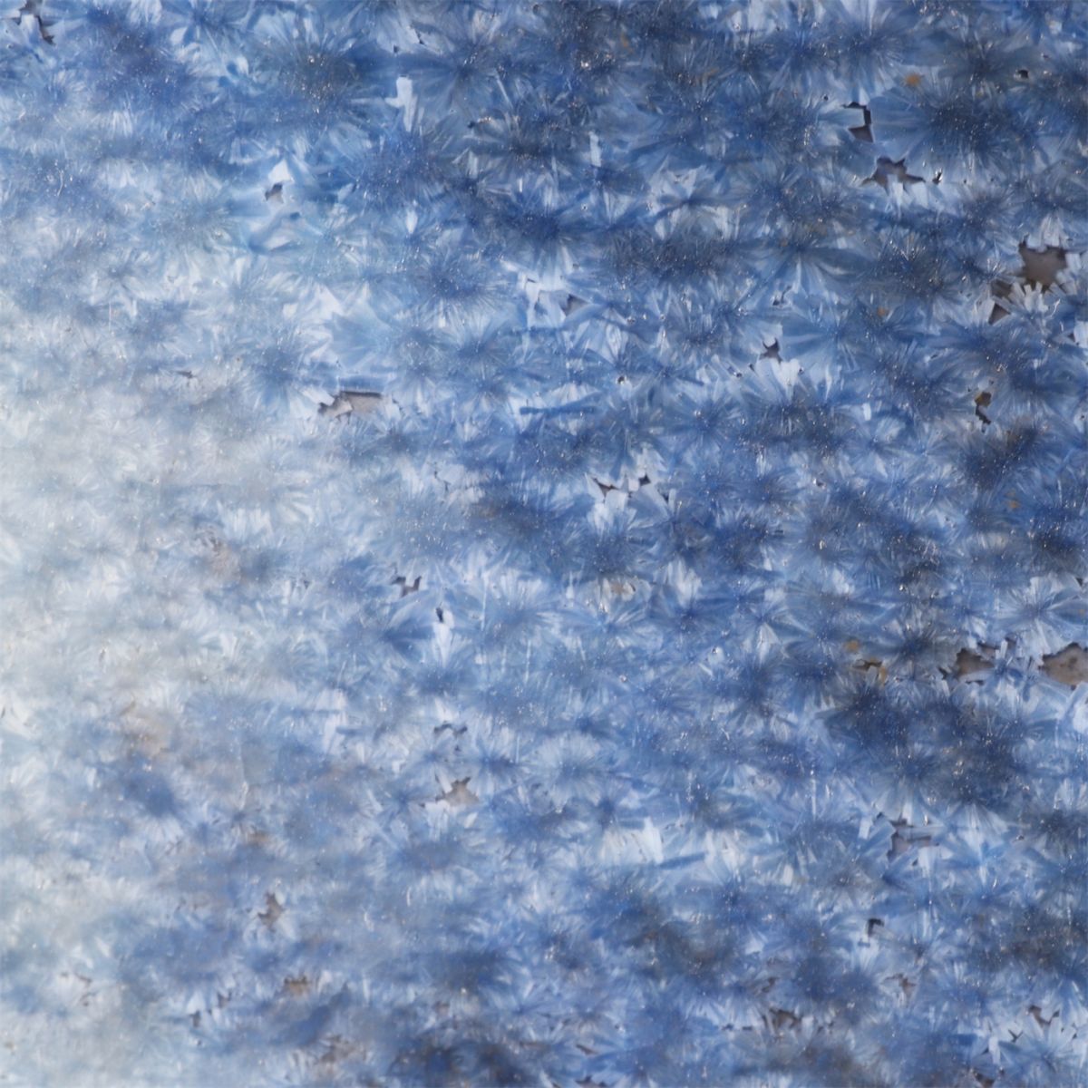 首页| 海洋之神hy590最新官方网站