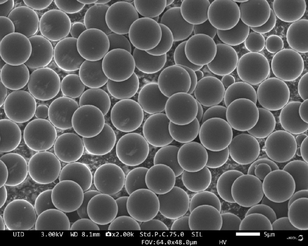 首页| 海洋之神hy590最新官方网站